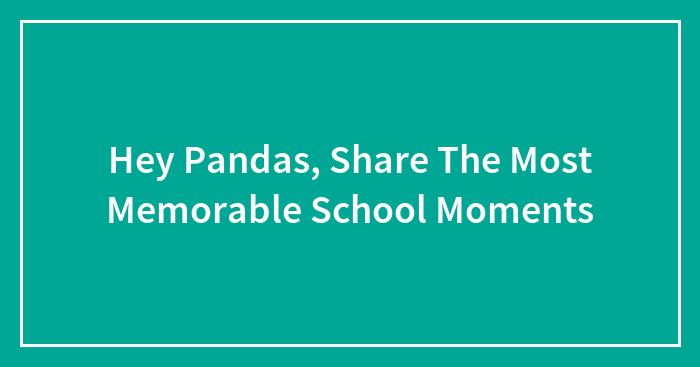 Hey Pandas, Share The Most Memorable School Moments (Closed)