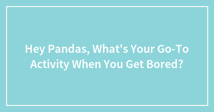 Hey Pandas, What’s Your Go-To Activity When You Get Bored? (Closed)