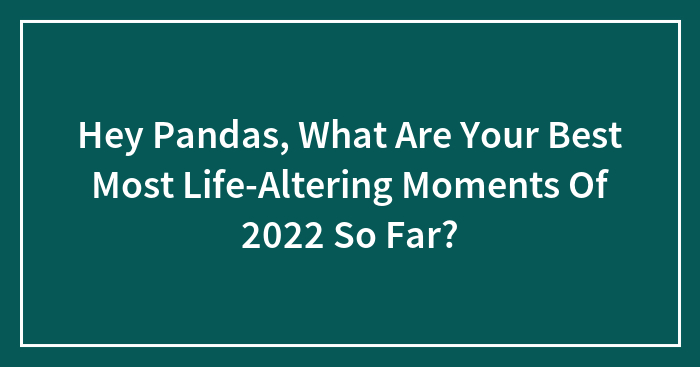 Hey Pandas, What Are Your Best Most Life-Altering Moments Of 2022 So Far?