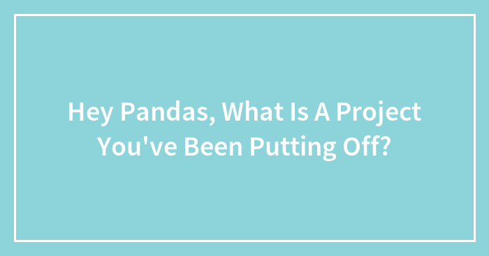 Hey Pandas, What Is A Project You’ve Been Putting Off? (Closed)