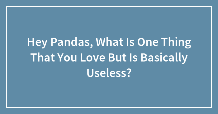 Hey Pandas, What Is One Thing That You Love But Is Basically Useless? (Closed)