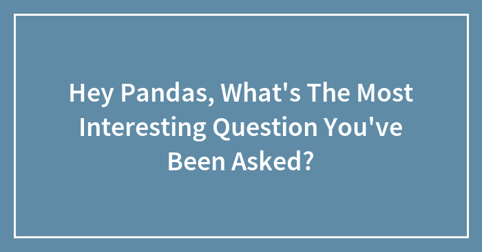 Hey Pandas, What’s The Most Interesting Question You’ve Been Asked? (Closed)