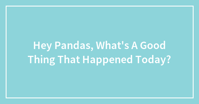 Hey Pandas, What’s A Good Thing That Happened Today? (Closed)