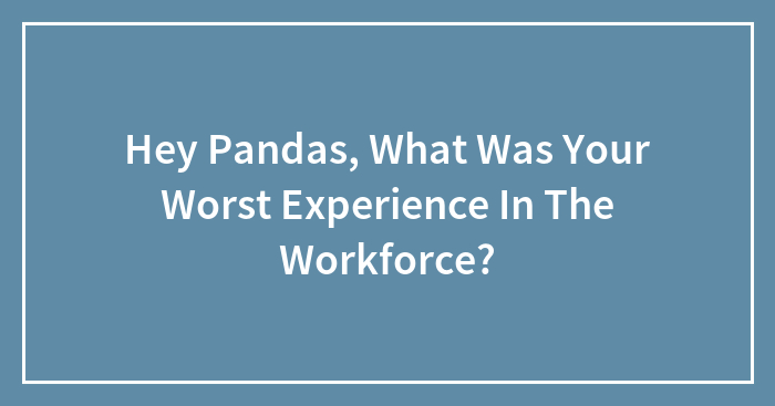 Hey Pandas, What Was Your Worst Experience In The Workforce? (Closed)