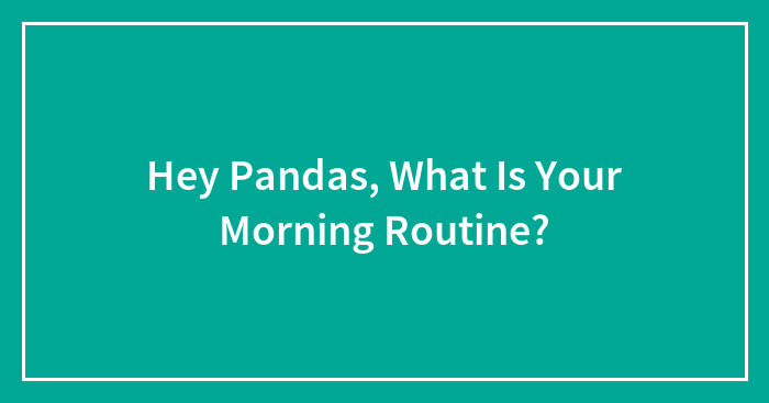 Hey Pandas, What Is Your Morning Routine? (Closed)