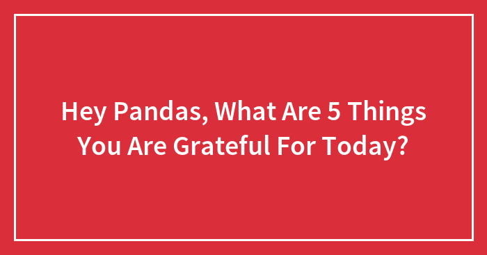 Hey Pandas, What Are 5 Things You Are Grateful For Today? (Closed)