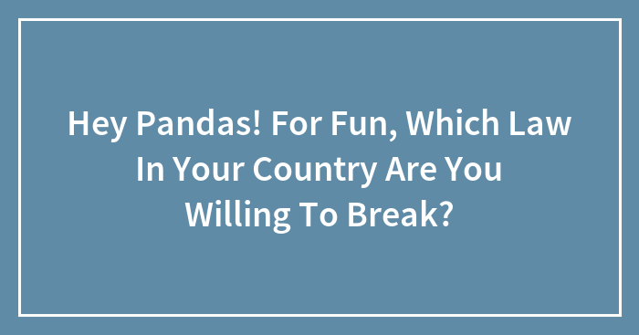 Hey Pandas! For Fun, Which Law In Your Country Are You Willing To Break? (Closed)