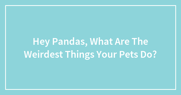 Hey Pandas, What Are The Weirdest Things Your Pets Do? (Closed)