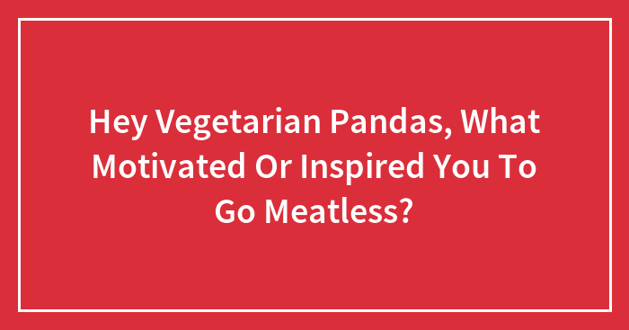 Hey Vegetarian Pandas, What Motivated Or Inspired You To Go Meatless?