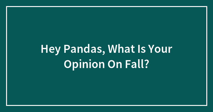 Hey Pandas, What Is Your Opinion On Fall?