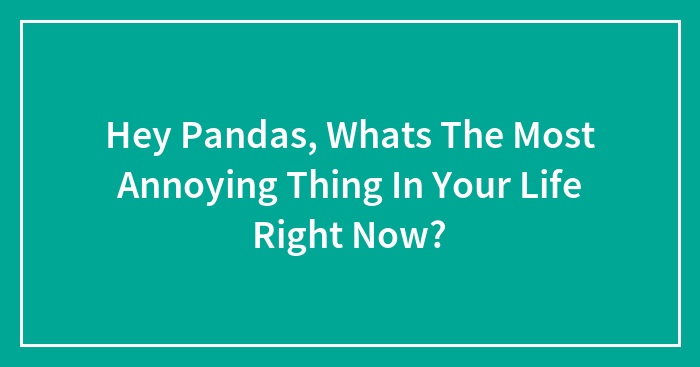 Hey Pandas, What’s The Most Annoying Thing In Your Life Right Now? (Closed)