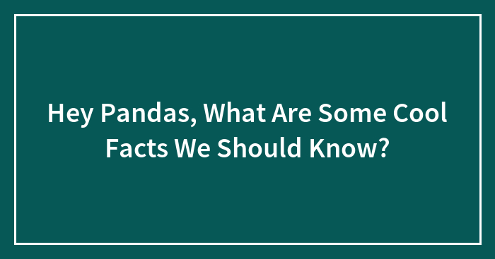 Hey Pandas, What Are Some Cool Facts We Should Know? (Closed)