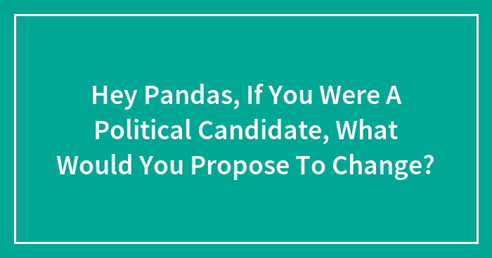Hey Pandas, If You Were A Political Candidate, What Would You Propose To Change? (Closed)