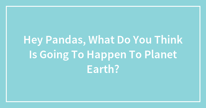 Hey Pandas, What Do You Think Is Going To Happen To Planet Earth?