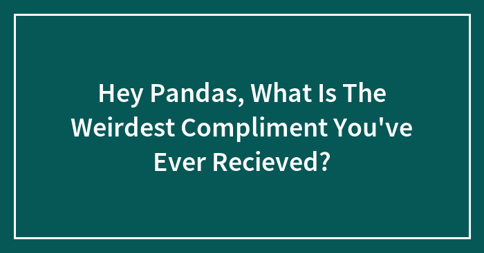Hey Pandas, What Is The Weirdest Compliment You’ve Ever Recieved?