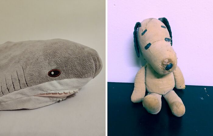 Hey Pandas, What Is The Oldest And The Most Important Plush You Own? (Closed)