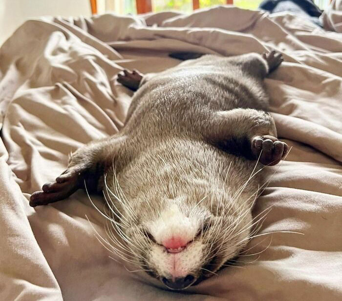 Missed Her Breakfast Again