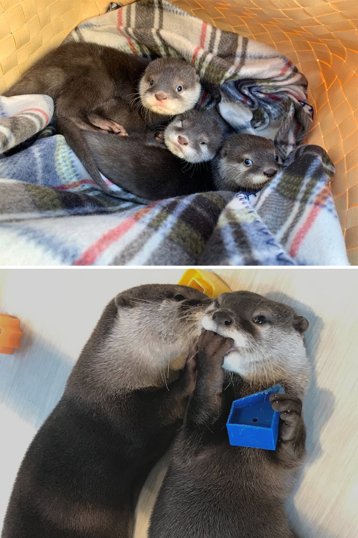 What A Cute Lookin' Bunch