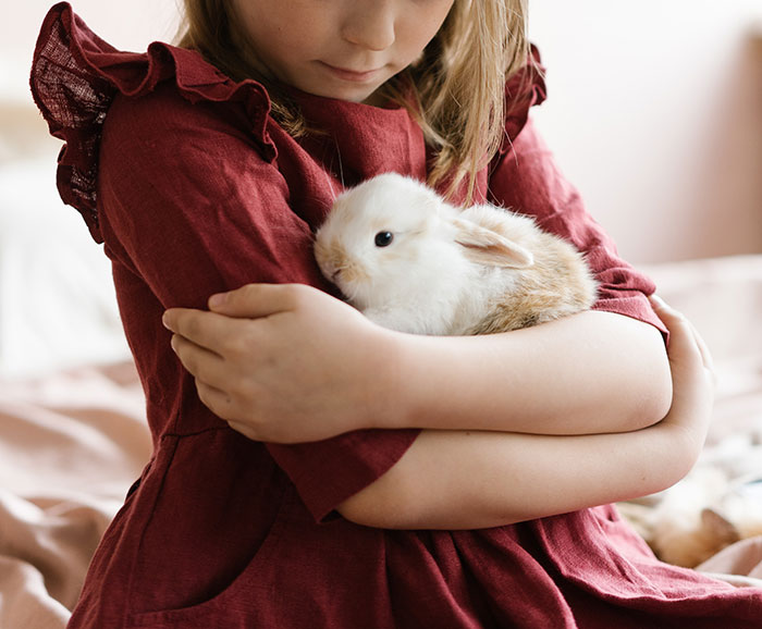 “Am I The Jerk For Making My Daughter Move Her Pet Rabbit Outside Due To My Stepson’s Allergies?” “Am I The Jerk For Making My Daughter Move Her Pet Rabbit Outside Due To My Stepson’s Allergies?”