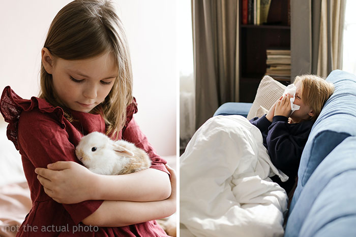 “Am I The Jerk For Making My Daughter Move Her Pet Rabbit Outside Due To My Stepson’s Allergies?”