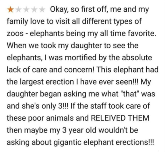 One-star customer review humorously complaining about an elephant at a zoo, showing bad reviews backfiring on businesses.