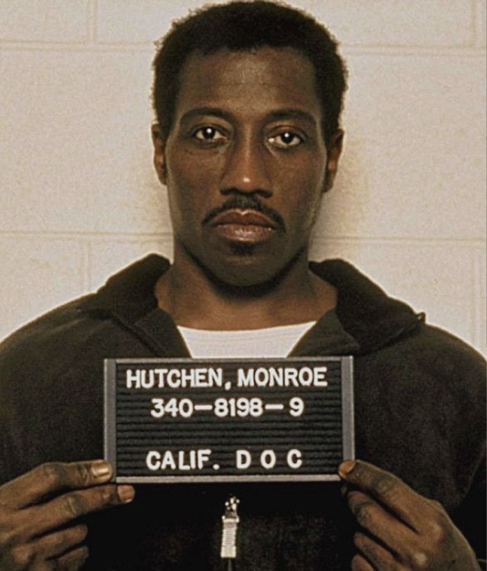 Wesley Snipes mugshot 