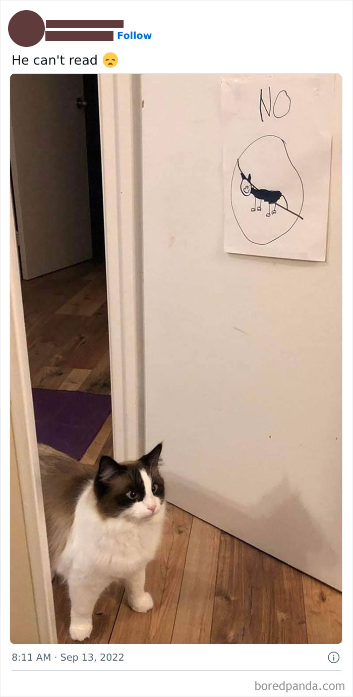 Funny-Best-Worst-Tweets