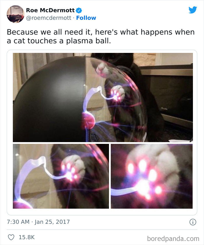 Funny-Best-Worst-Tweets