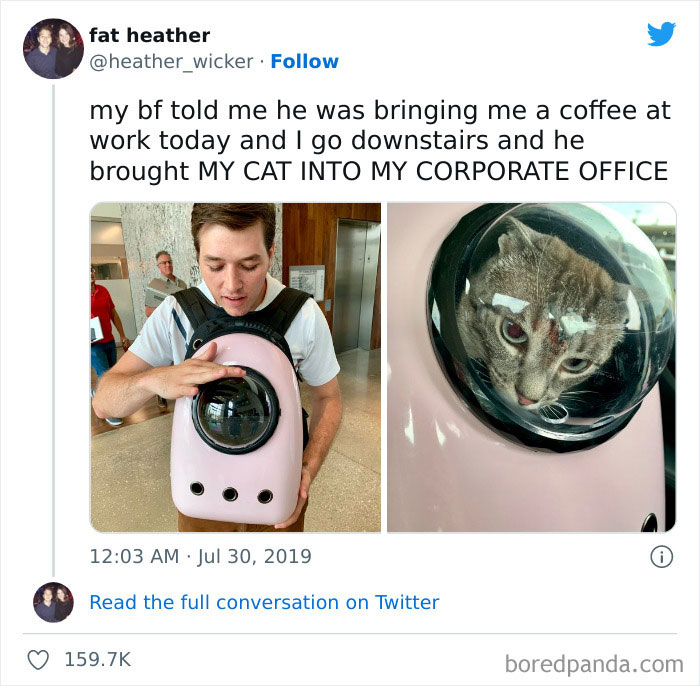 Funny-Best-Worst-Tweets