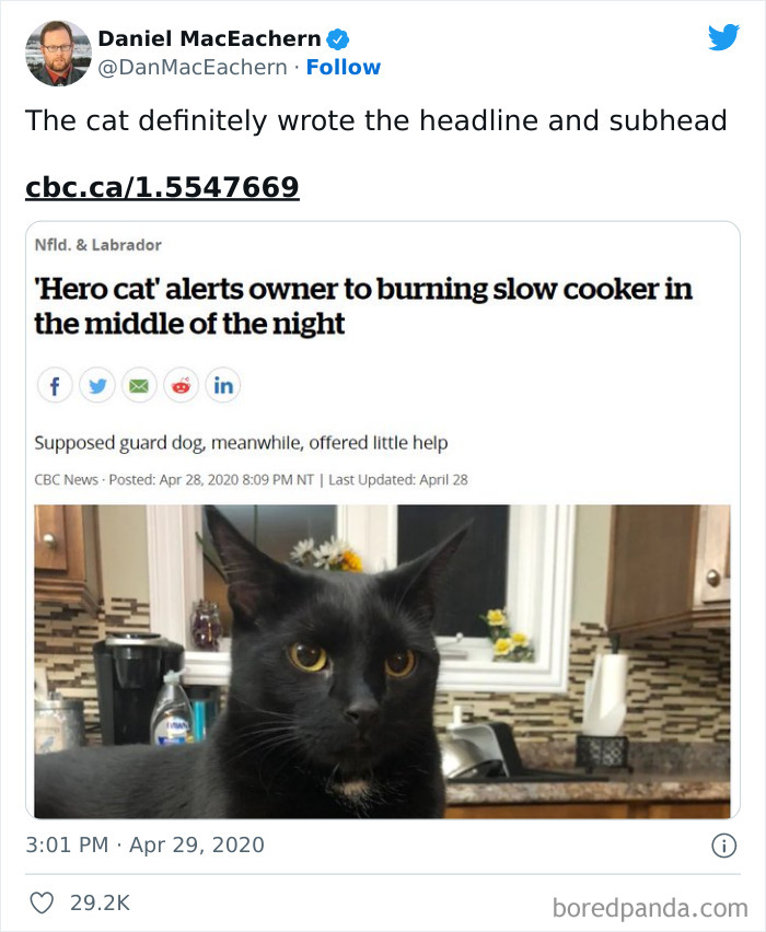 Funny-Best-Worst-Tweets