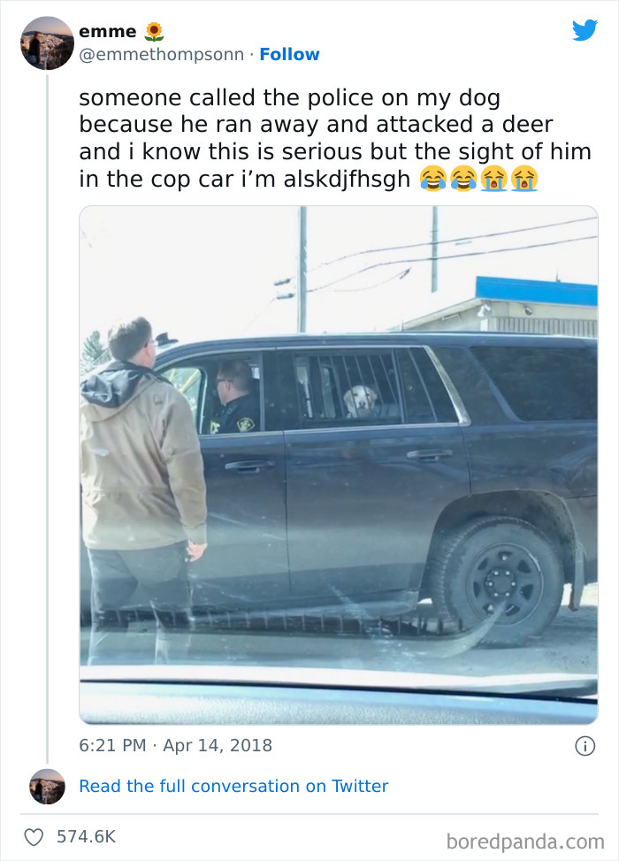 Funny-Best-Worst-Tweets