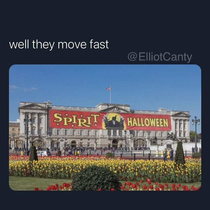 Funny-Best-Worst-Tweets