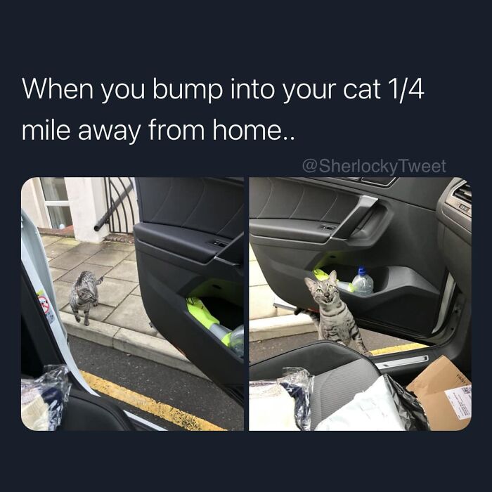 Funny-Best-Worst-Tweets