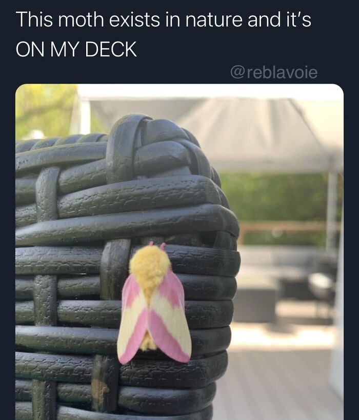 Funny-Best-Worst-Tweets