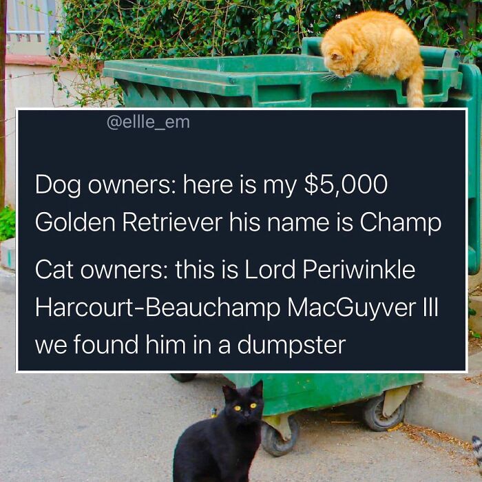 Funny-Best-Worst-Tweets