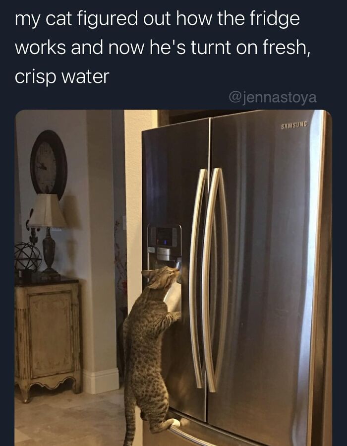 Funny-Best-Worst-Tweets