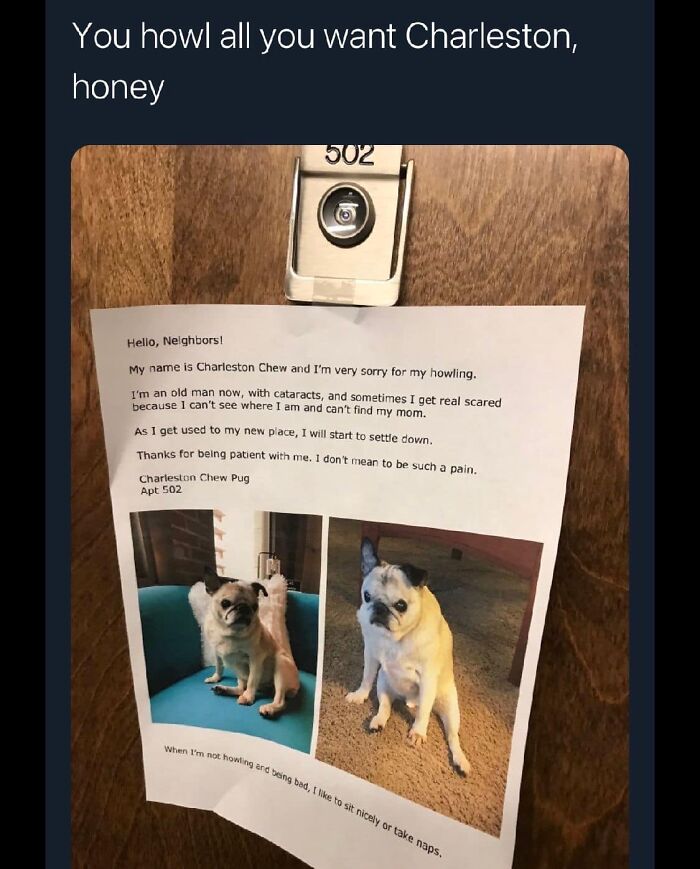 Funny-Best-Worst-Tweets