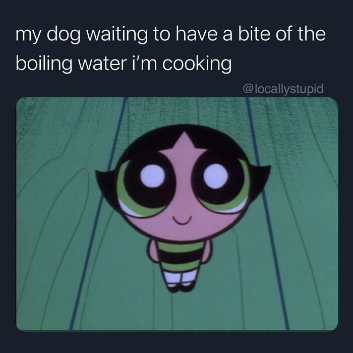 Funny-Best-Worst-Tweets