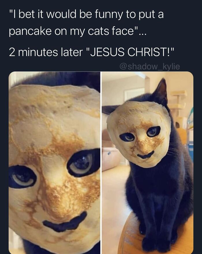 Funny-Best-Worst-Tweets