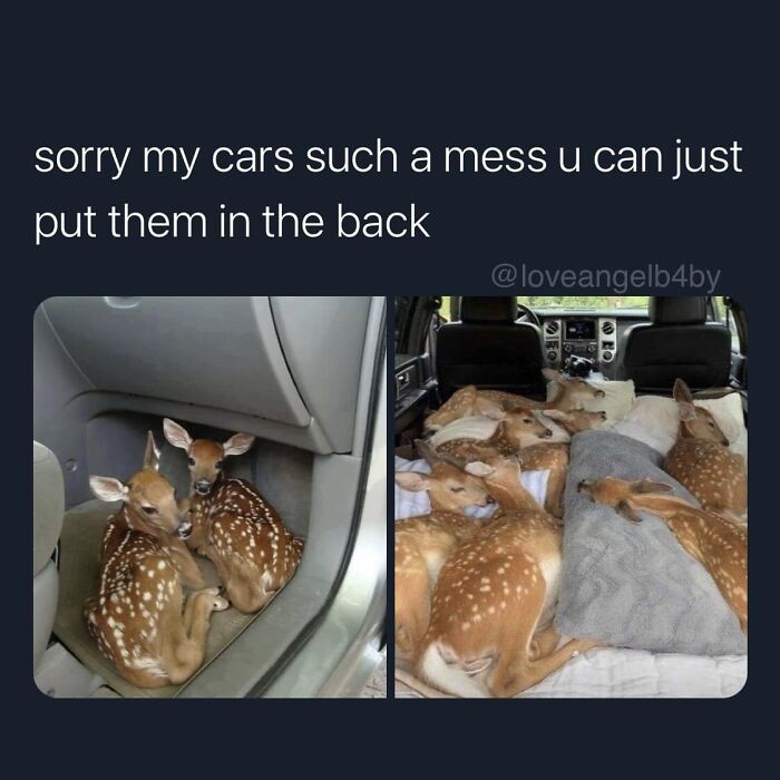 Funny-Best-Worst-Tweets