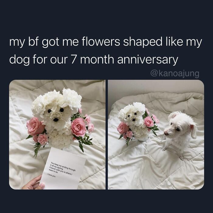 Funny-Best-Worst-Tweets