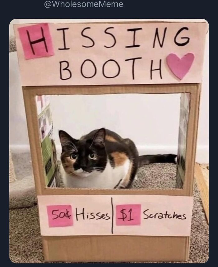 Funny-Best-Worst-Tweets