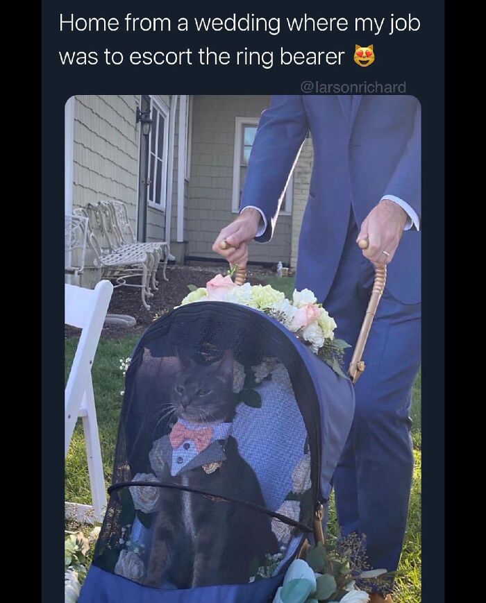 Funny-Best-Worst-Tweets