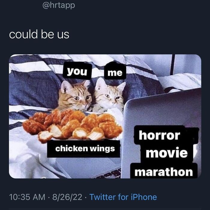 Funny-Best-Worst-Tweets