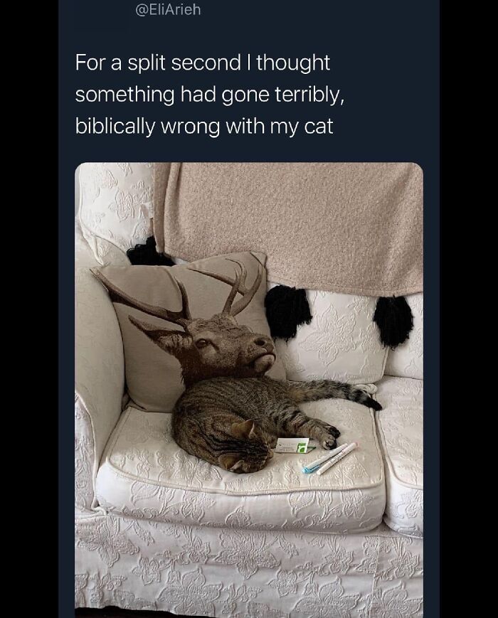 Funny-Best-Worst-Tweets