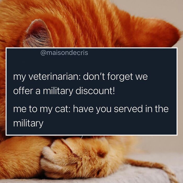 Funny-Best-Worst-Tweets