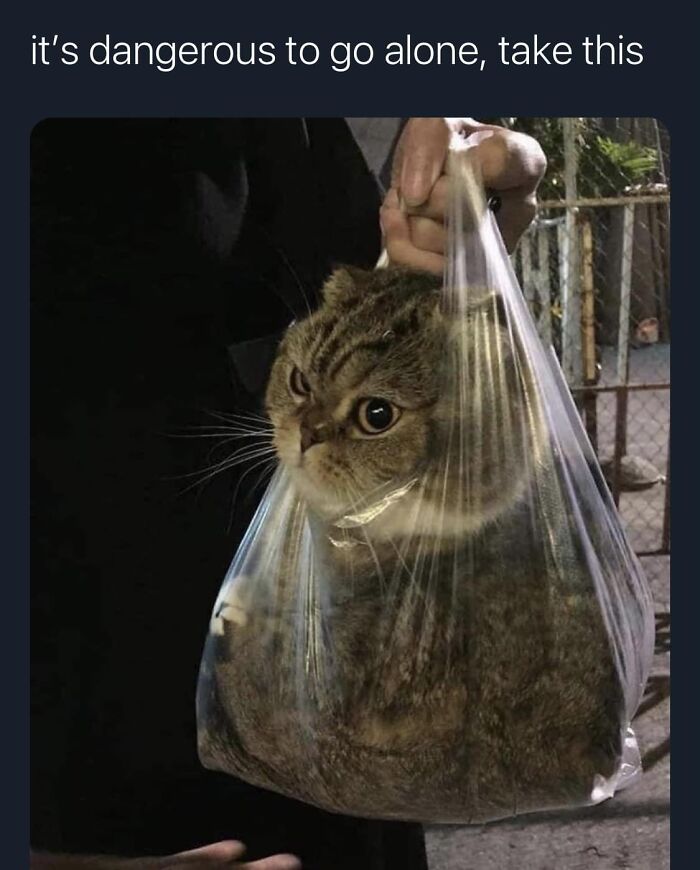 Funny-Best-Worst-Tweets