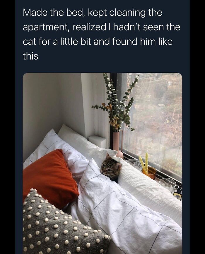 Funny-Best-Worst-Tweets