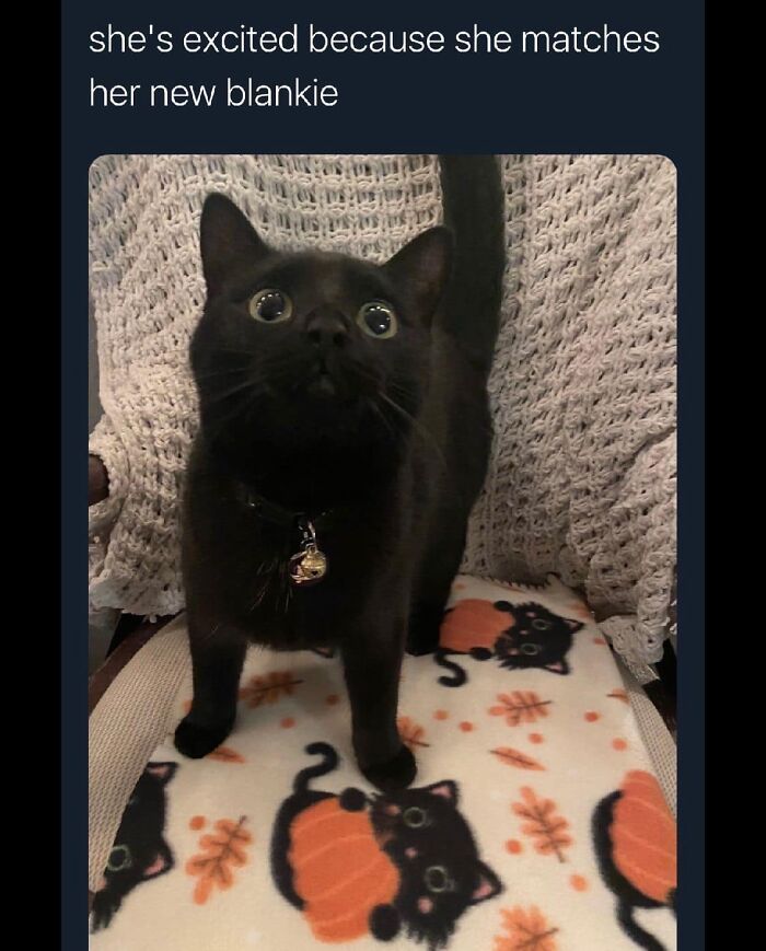 Funny-Best-Worst-Tweets