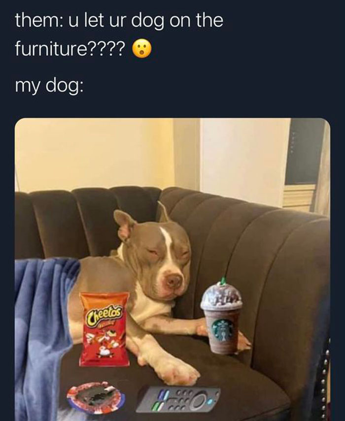 Funny-Best-Worst-Tweets